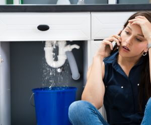 About Emergency plumbing pros Cabins, WV